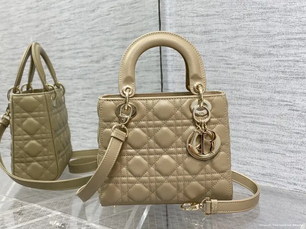Tony Luxuries diro Lady Small Calfskin-20-16.5-8CM 0504